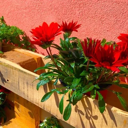 Casa Vacanza Portulaca Holiday home *
